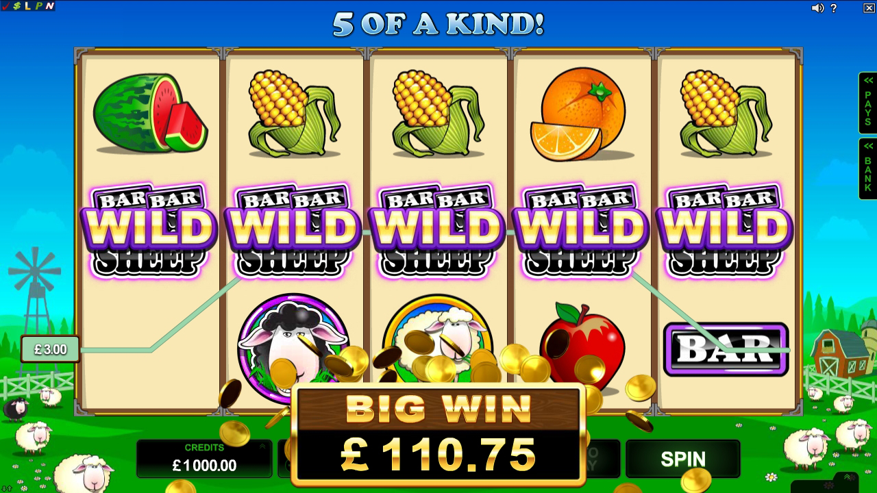 BarBarBlackSheep online Slot Game Big Win
